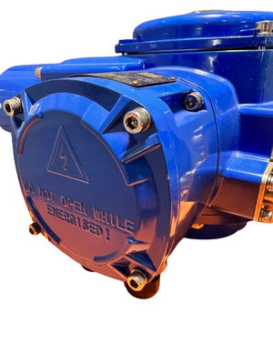 Thermal Protection Electric Air Valve Actuator 100NM IP67 Part Turn
